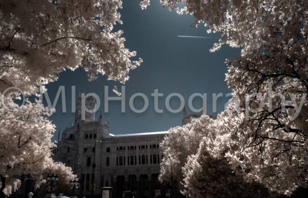 City Hall, Madrid, España 2012