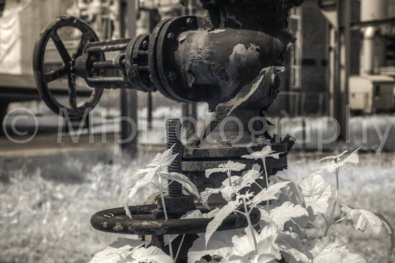 Zeche Zollverein, Essen, Germany 2019